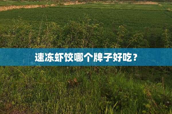 速冻虾饺哪个牌子好吃？