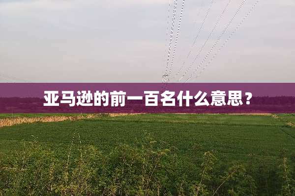 亚马逊的前一百名什么意思？