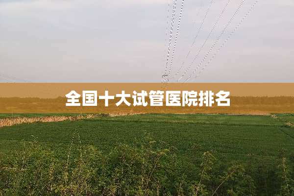 全国十大试管医院排名