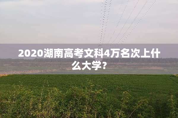 2020湖南高考文科4万名次上什么大学？