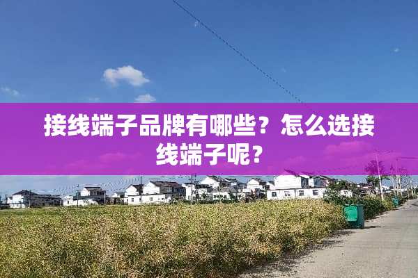 接线端子品牌有哪些？怎么选接线端子呢？