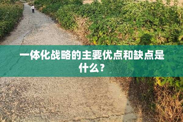 一体化战略的主要优点和缺点是什么？
