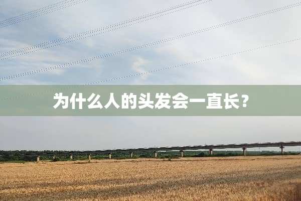 为什么人的头发会一直长？