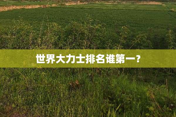 世界大力士排名谁第一？