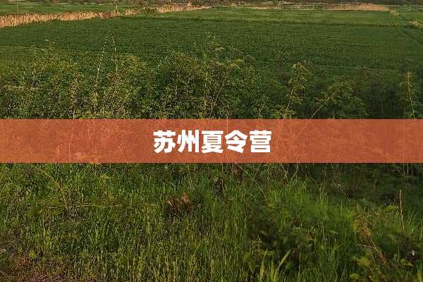 苏州夏令营