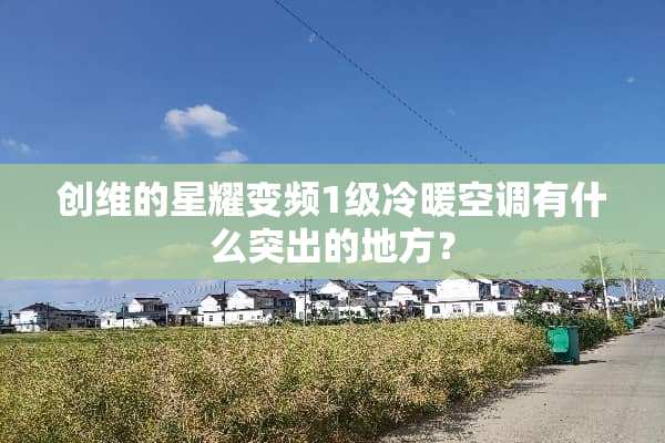 创维的星耀变频1级冷暖空调有什么突出的地方？