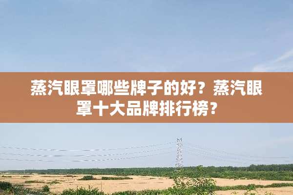 蒸汽眼罩哪些牌子的好？蒸汽眼罩十大品牌排行榜？