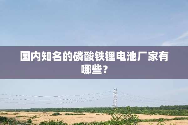 国内知名的磷酸铁锂电池厂家有哪些？