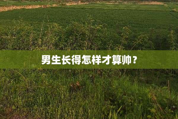 男生长得怎样才算帅？