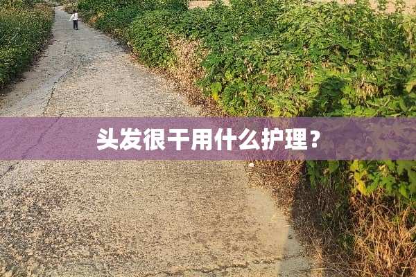 头发很干用什么护理？