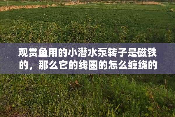 观赏鱼用的小潜水泵转子是磁铁的，那么它的线圈的怎么缠绕的？？？？
