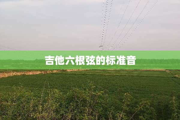 吉他六根弦的标准音