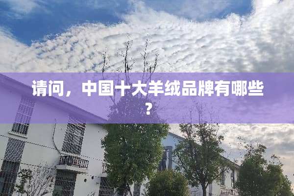 请问，中国十大羊绒品牌有哪些？