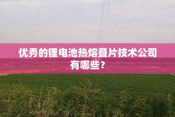 优秀的锂电池热熔叠片技术公司有哪些？