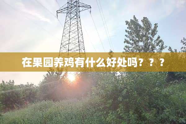 在果园养鸡有什么好处吗？？？