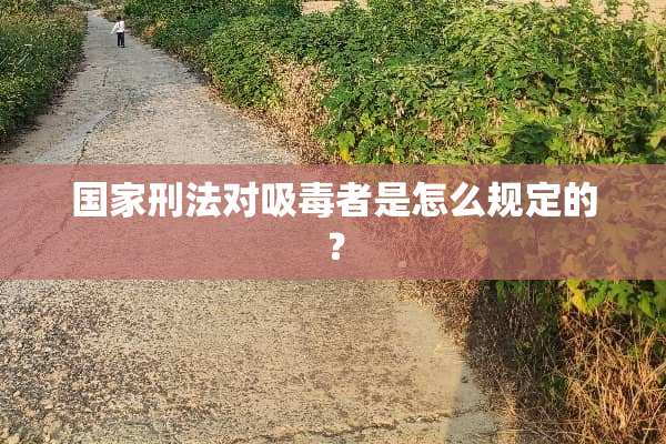 国家刑法对吸毒者是怎么规定的？