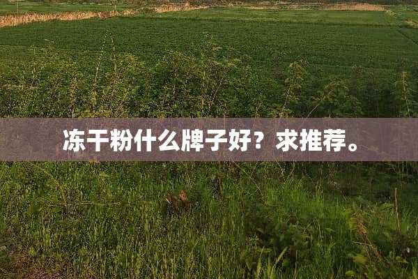 ***什么牌子好？求推荐。