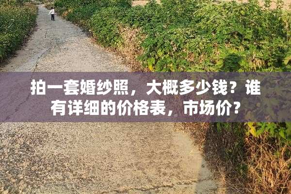 拍一套婚纱照，大概多少钱？谁有详细的价格表，市场价？