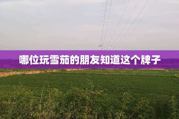 哪位玩雪茄的朋友知道这个牌子