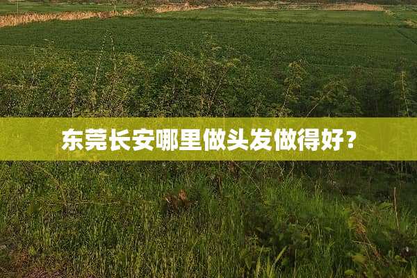 东莞长安哪里做头发做得好？