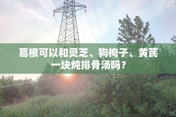 葛根可以和灵芝、狗枸子、黄芪一块炖排骨汤吗？