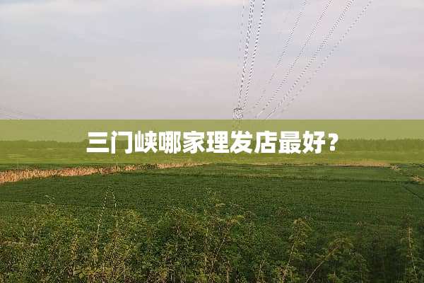 三门峡哪家理发店最好？