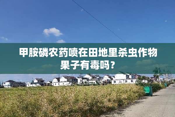 甲胺磷农药喷在田地里杀虫作物果子有毒吗？