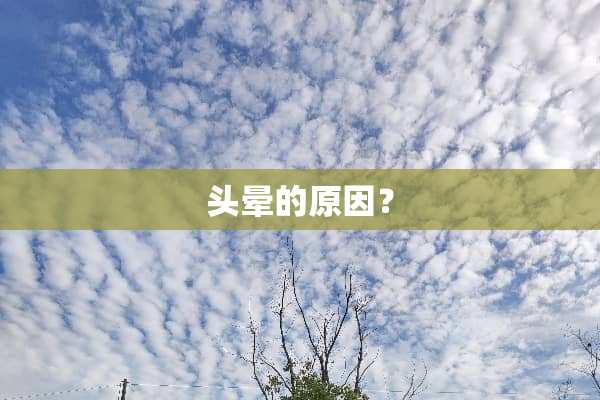 头晕的原因？