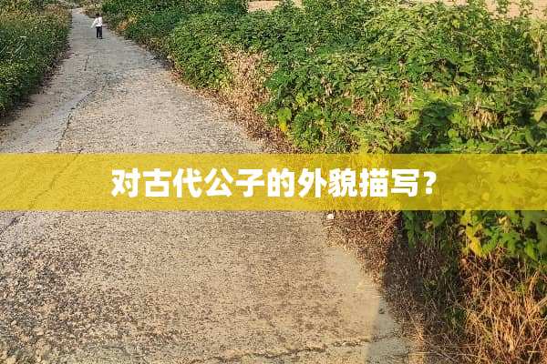对古代公子的外貌描写？