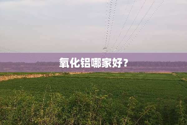 **铝哪家好？