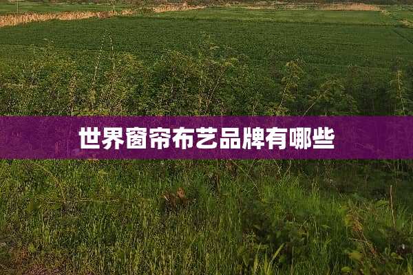世界窗帘布艺品牌有哪些