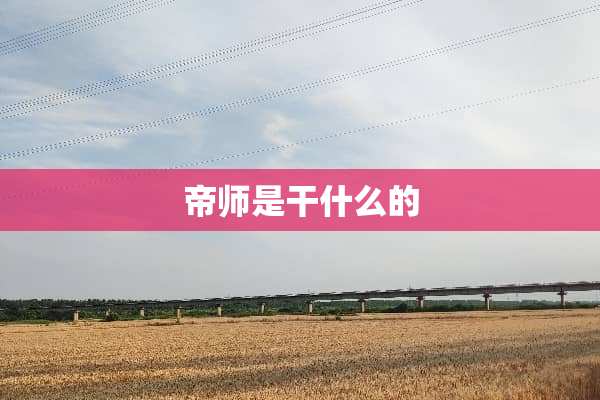 帝师是干什么的