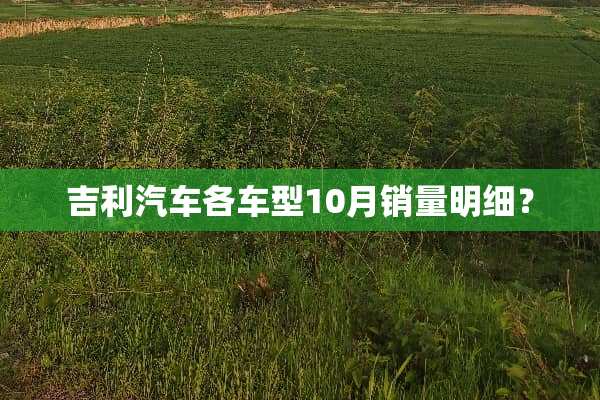 吉利汽车各车型10月销量明细？
