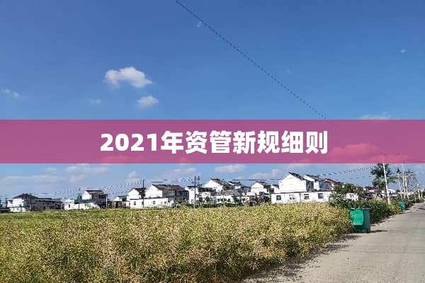 2021年资管新规细则