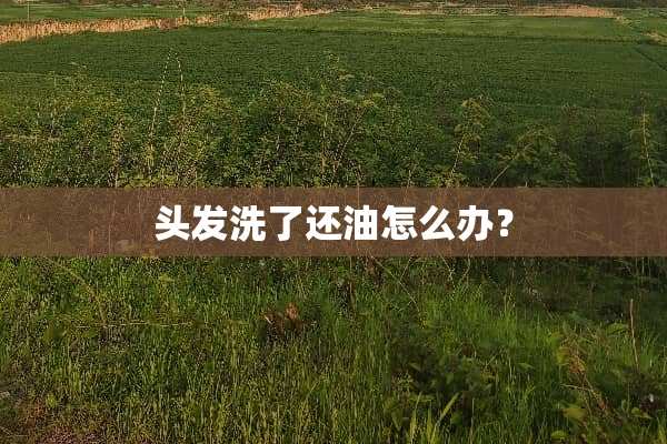 头发洗了还油怎么办？