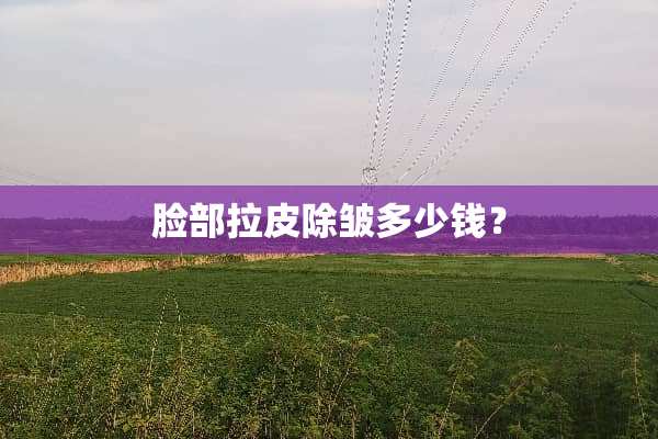 脸部拉皮除皱多少钱？