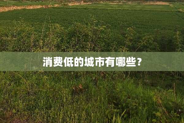 消费低的城市有哪些？