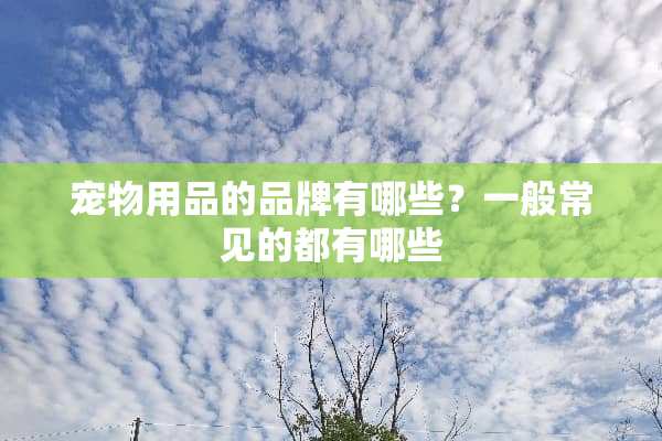 宠物用品的品牌有哪些？一般常见的都有哪些