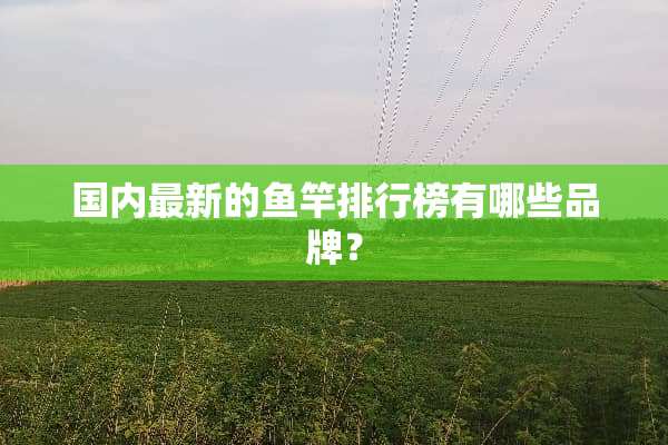 国内最新的鱼竿排行榜有哪些品牌？