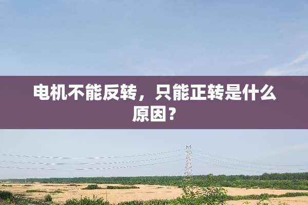 电机不能反转，只能正转是什么原因？