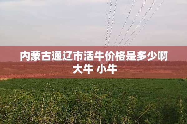 内蒙古通辽市活牛价格是多少啊 大牛 小牛