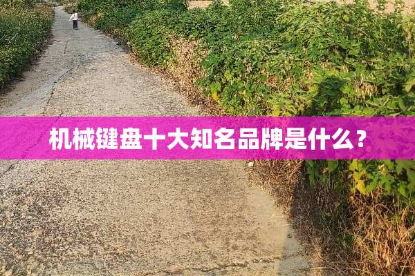 机械键盘十大知名品牌是什么？