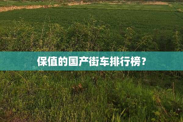 保值的国产街车排行榜？