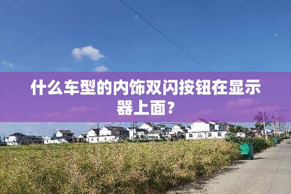 什么车型的内饰双闪按钮在显示器上面？