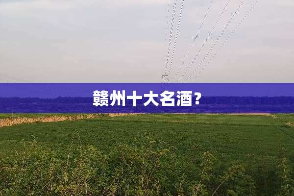 赣州十大名酒？