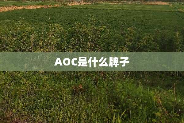 AOC是什么牌子