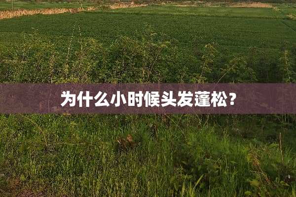 为什么小时候头发蓬松？