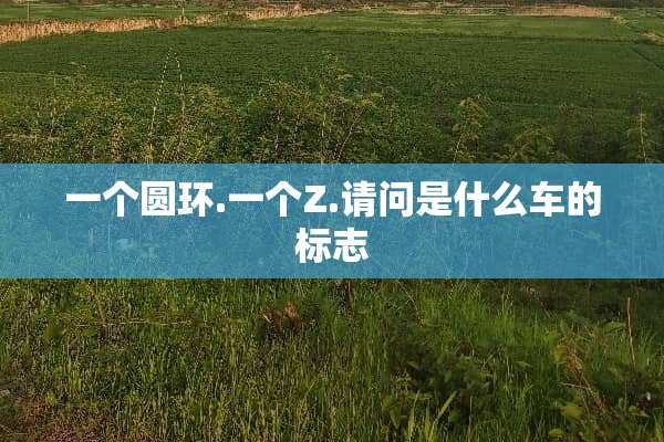 一个圆环.一个Z.请问是什么车的标志