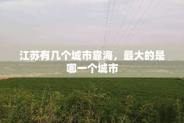 江苏有几个城市靠海，最大的是哪一个城市