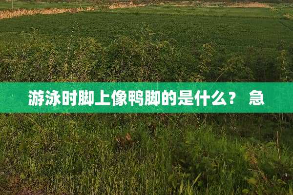 游泳时脚上像鸭脚的是什么？ 急